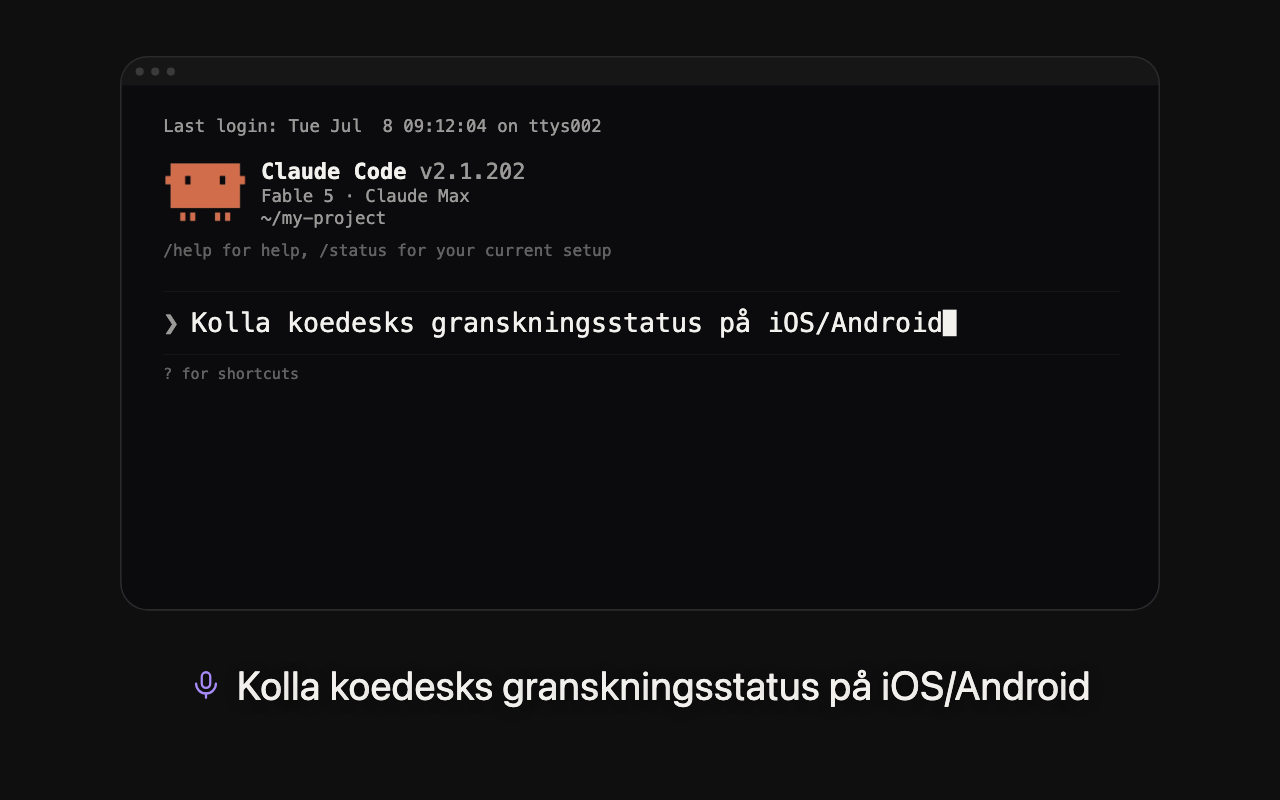 Grundläggande användning